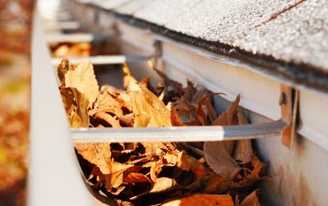Berkley Down gutter cleaning companies